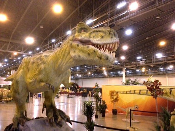 ea7b35b98ffcb2cecc073130149aaa9d Courtesy Dinosauria Experience.