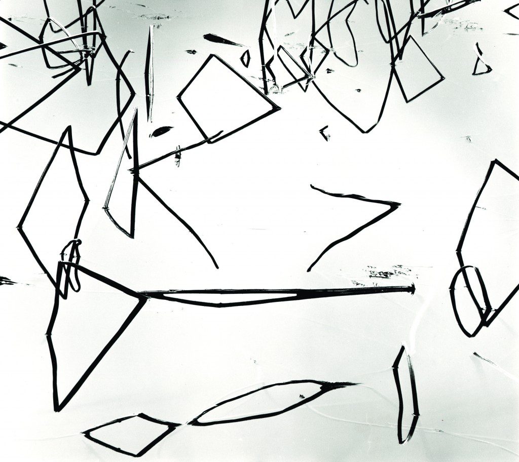 Reeds, Japan, 1970, by Brett Weston. Image ©The Brett Weston Archive. Image courtesy OKCMOA.