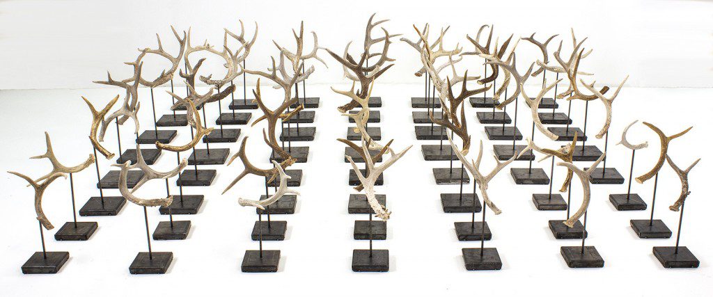 "Whitetail" by Courtney Creedon, Tulsa, is one of the works in "Momentum: Art Doesn't Stand Still." Photo courtesy Oklahoma Visual Arts Coalition.