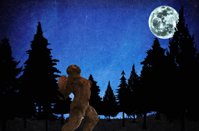 squatch