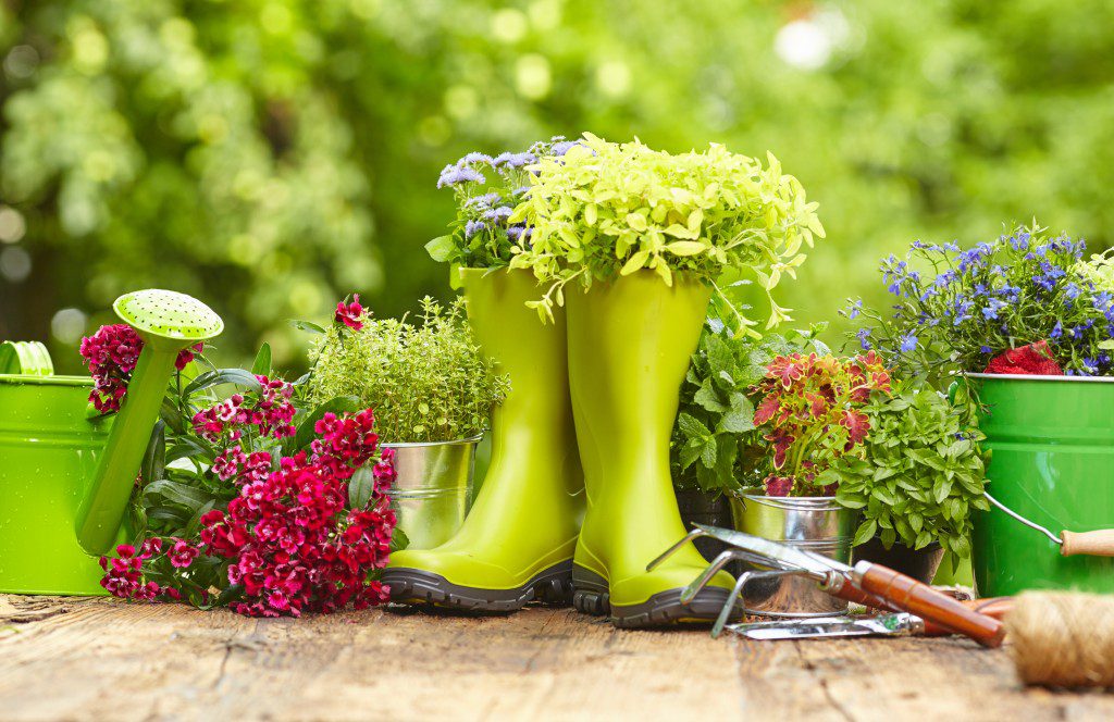 AdobeStock_78377840