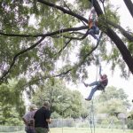 State Tree Climbing09082018 4614 web