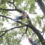 State Tree Climbing09082018 4623 web