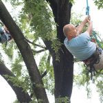 State Tree Climbing09082018 4630