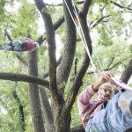 State Tree Climbing09082018 4634 web