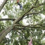 State Tree Climbing09082018 4639 web