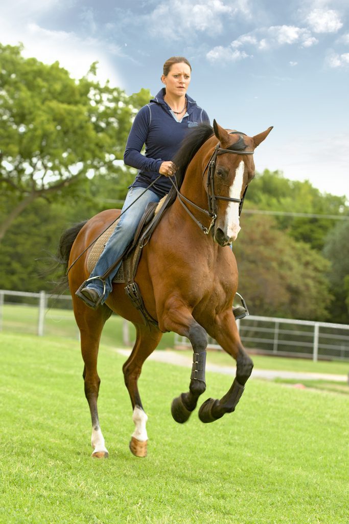 L&S Horses08222019 9778 Web
