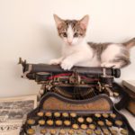 HEMINGWAY CAT