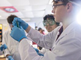 Beyond the Traditional Classroom
